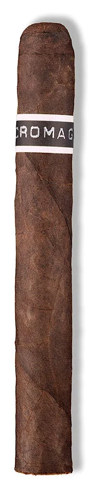 CroMagnon Pennsylvania Anthropology