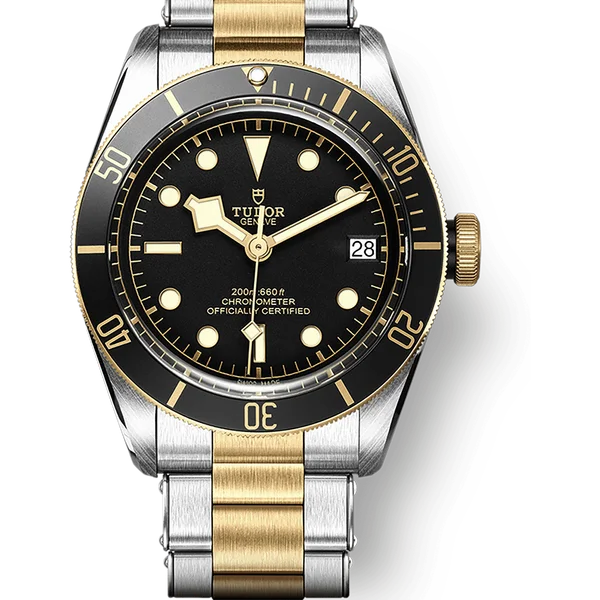Tudor 79733N