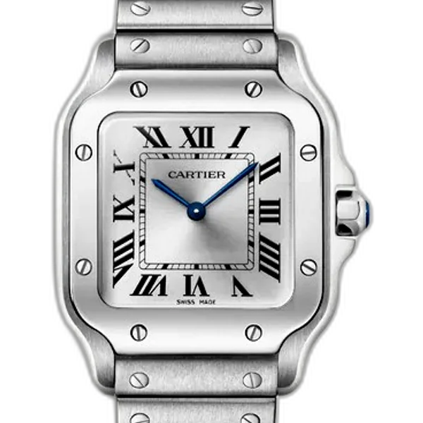 Cartier WSSA0082