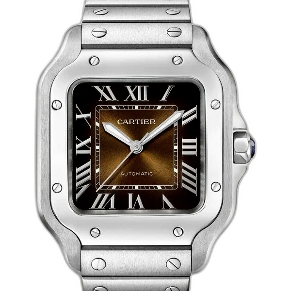 Cartier WSSA0065