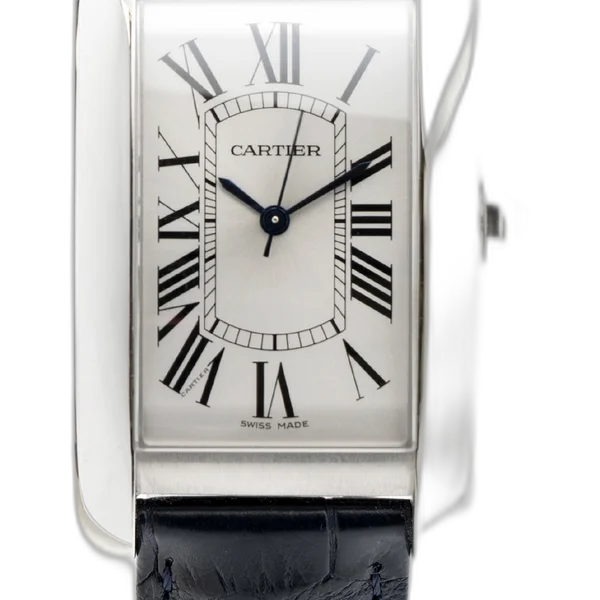 Cartier WSTA0018