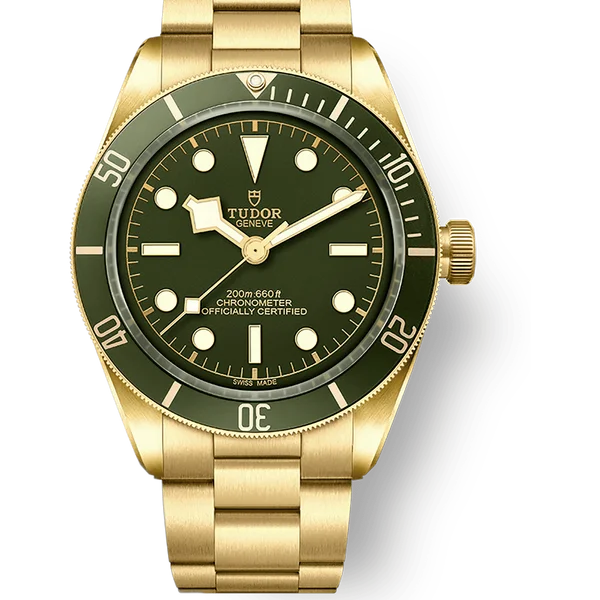 Tudor 79018V