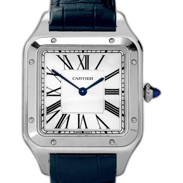 Cartier WSSA0085