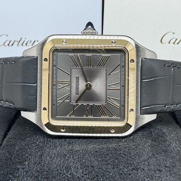 Cartier W2SA0028