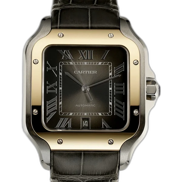 Cartier W2SA0030