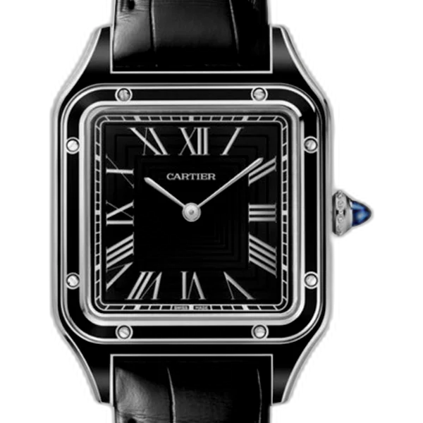 Cartier WSSA0046