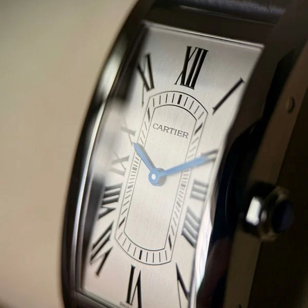 Cartier WSTA0083