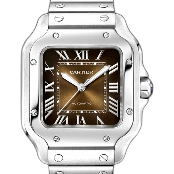 Cartier WSSA0064